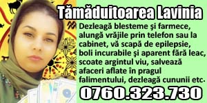 Banner 300x150 Tamaduitorea Lavinia